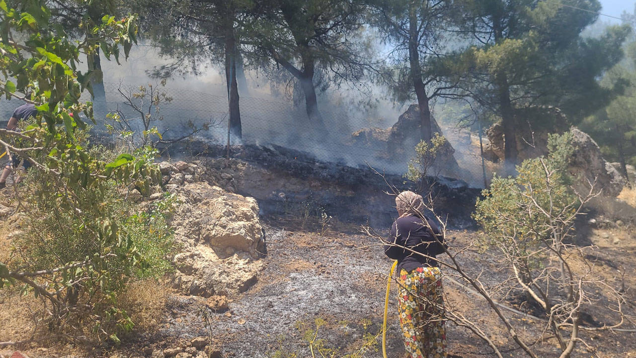 Kahramanmaraş’ta orman yangını