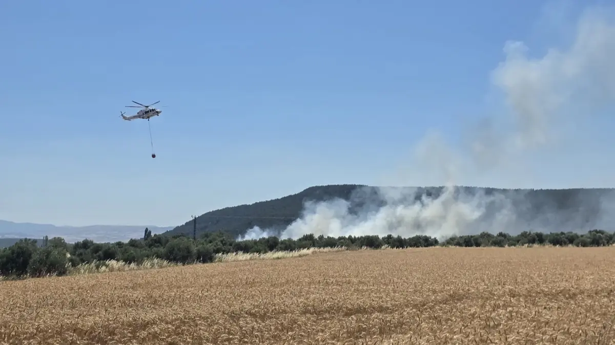 Çanakkale'de tarım arazisinde yangın! Ekipler müdahale ediyor