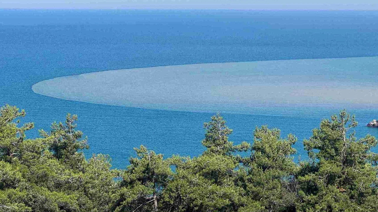 Bartın'da şaşırtan görüntü! Denizin rengi bir gecede değişti