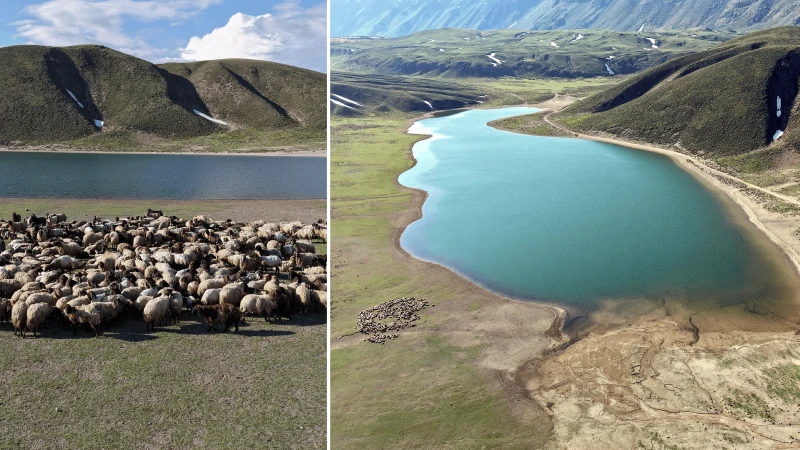 Bitlis'te beş ay sürecek yolculuk başladı: Binlercesi aynı anda hareket ediyor