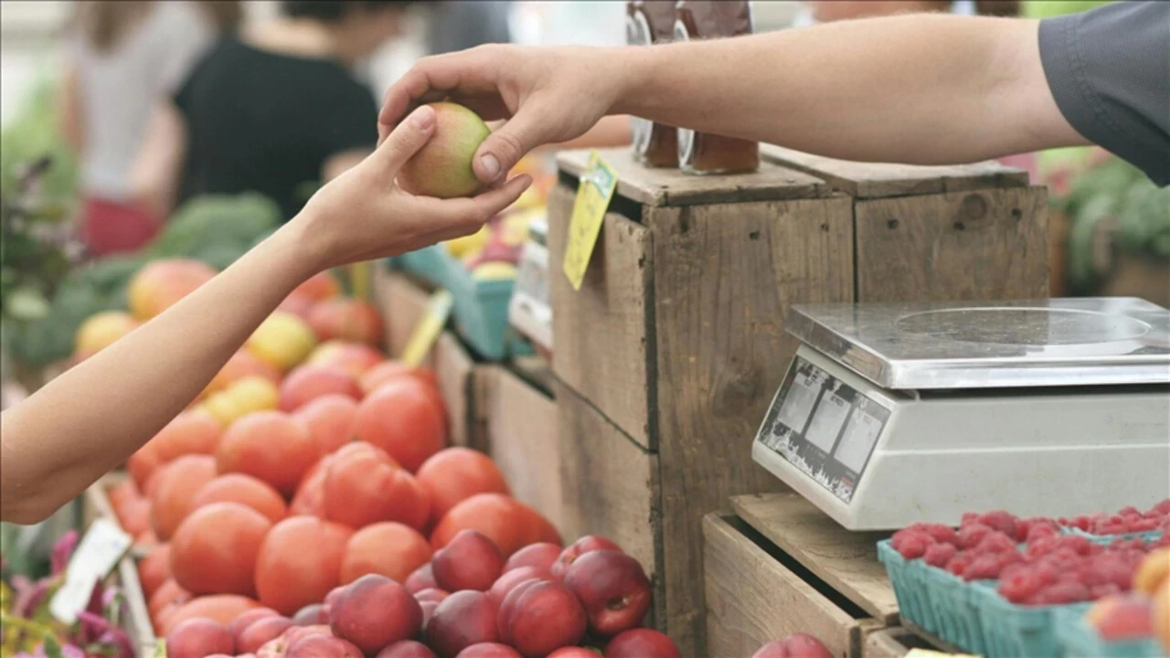 FAO: Küresel gıda fiyatları mayısta yüzde 0,2 geriledi