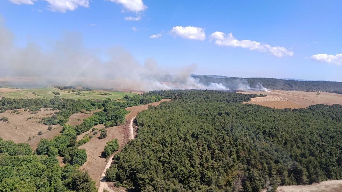 Çanakkale'de Tarım Arazisinde Çıkan Yangın Ormana Sıçradı
