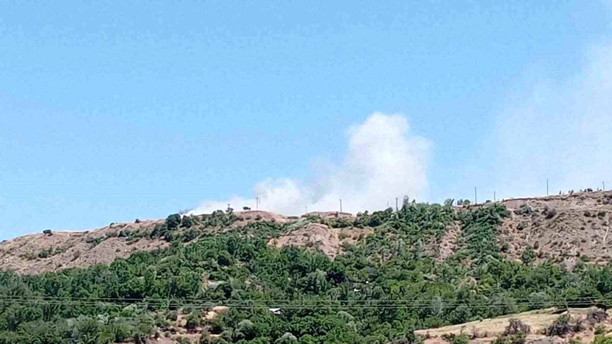 Elazığ'da arazi yangını
