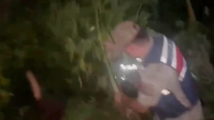 Hatay’da uyuşturucu operasyonu! 148 kök Hint keneviri ele geçirildi
