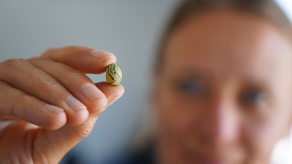 Danimarka'da 1.000 yıllık Viking tekstil üretim merkezi keşfedildi