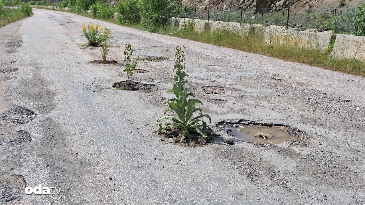 Tokat'ta sıra dışı protesto: 35 köyün ortak çilesi çukurlu yol