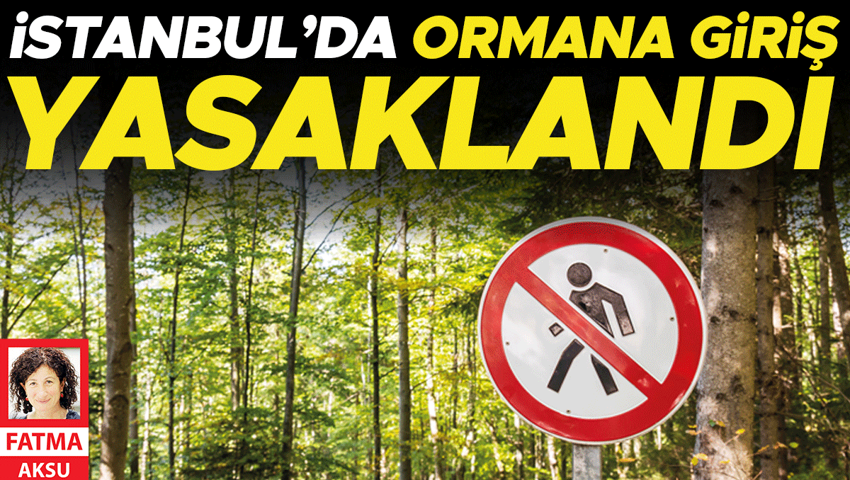 İstanbul’da ormana giriş yasaklandı