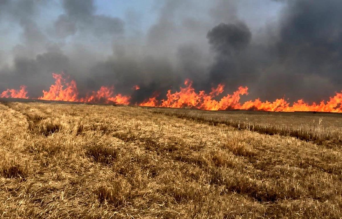 Tekirdağ'da 400 dönüm buğday ekili alan yandı