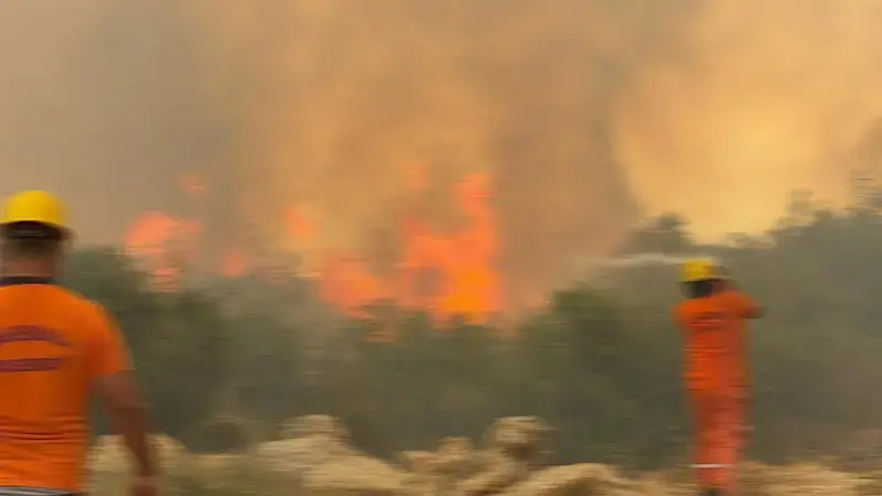 Antalya'da orman yangını