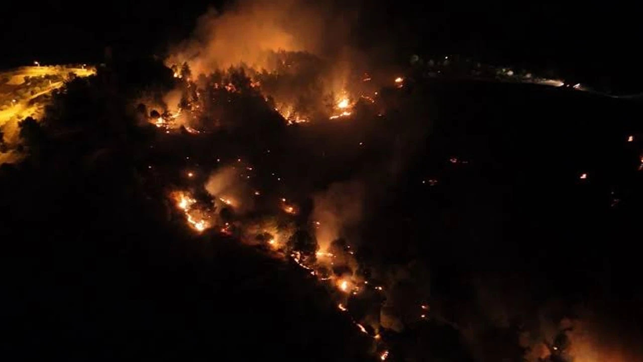 Adıyaman’da orman yangını