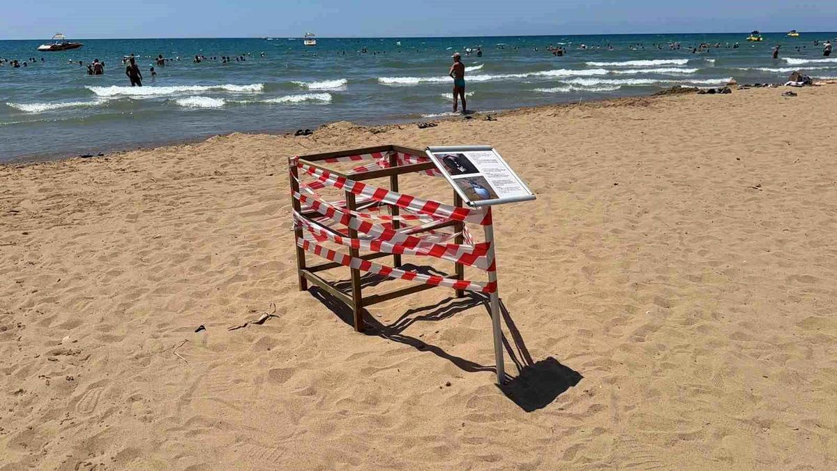 Antalya'da 'caretta caretta' yuvası bilmecesi