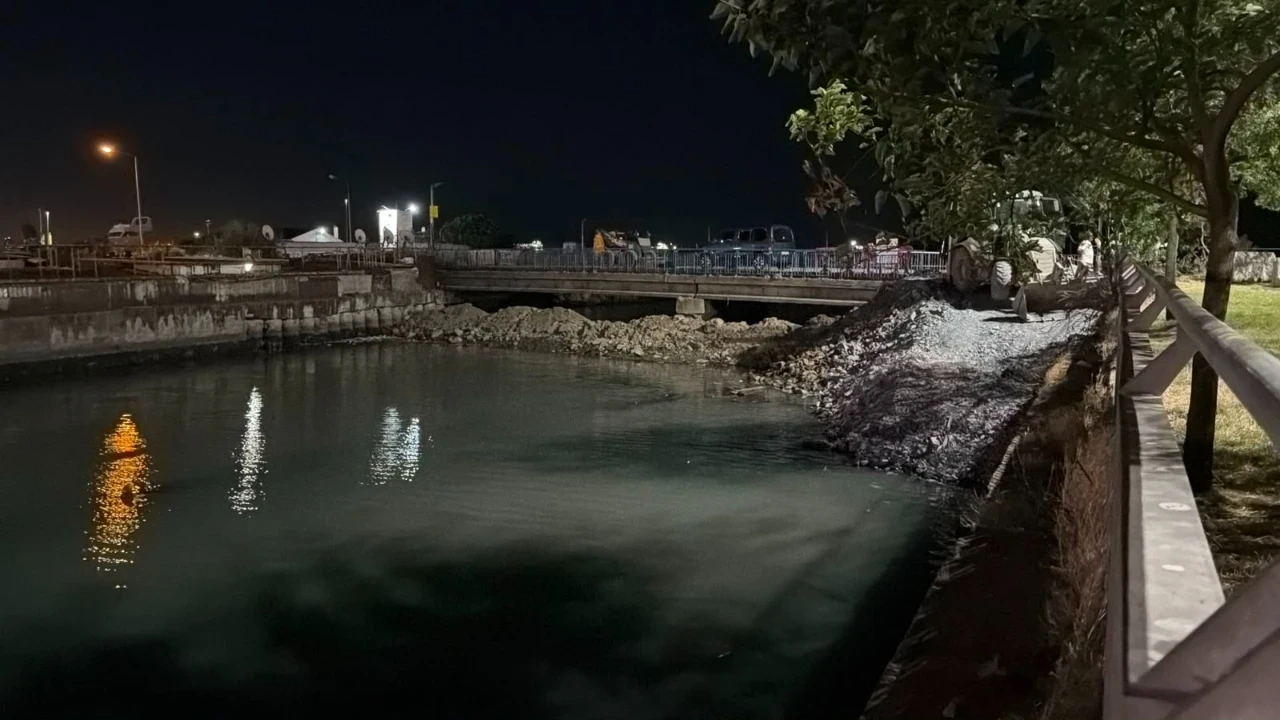 Bakırköy'de derede yüzlerce ölü balık kıyıya vurdu