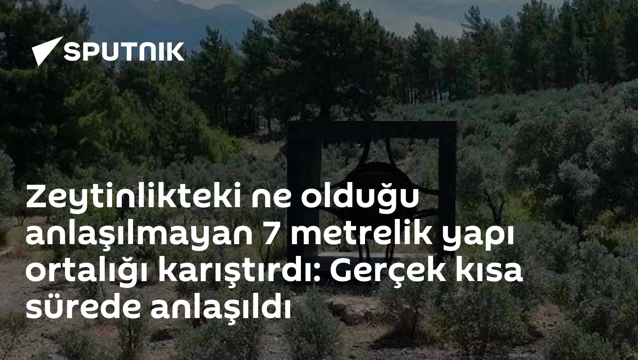 Zeytinlikteki ne olduğu anlaşılmayan 7 metrelik yapı ortalığı karıştırdı: Gerçek kısa sürede anlaşıldı