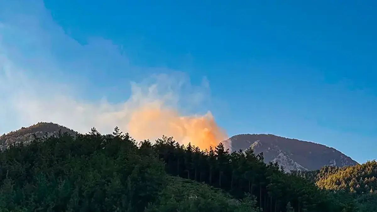 Adana’da orman yangınına havadan ve karadan müdahale