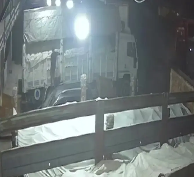 Adana'da 600 kilo karpuz ve kavun hırsızlığı! Şüphelinin ifadesi dikkat çekti