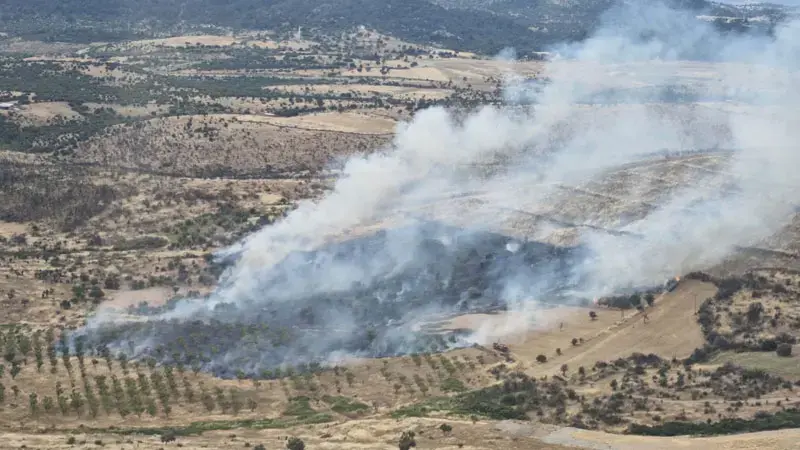 Çanakkale'de orman yangını kontrol altında
