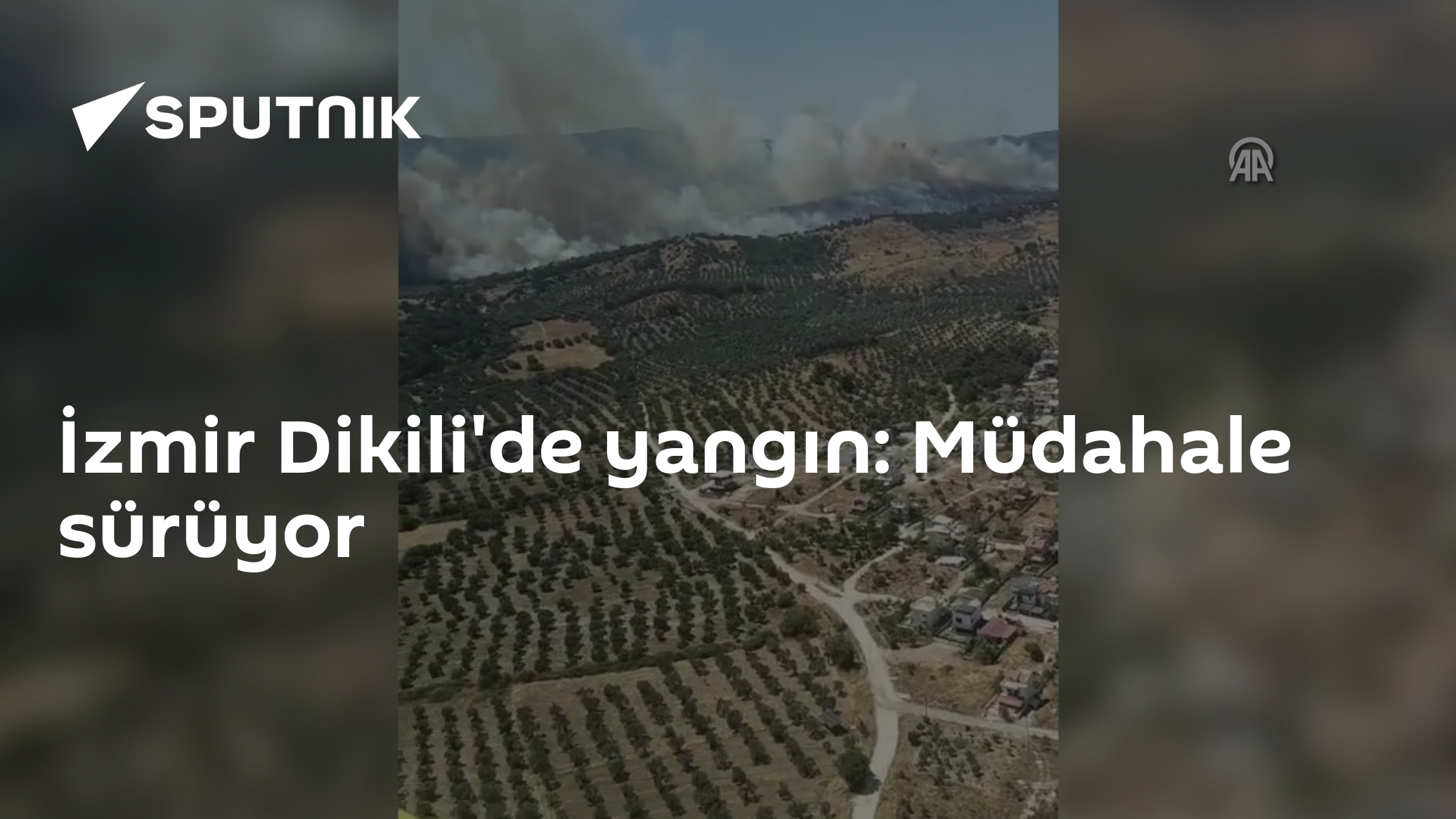 İzmir Dikili'de yangın: Müdahale sürüyor