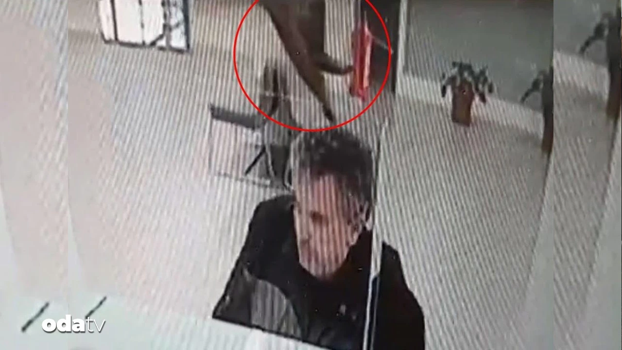 Bankada kafasına kedi düştü