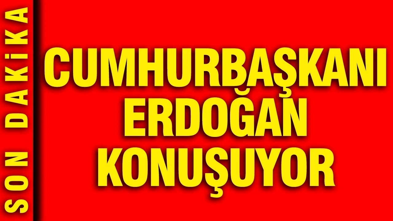 Cumhurbaşkanı Erdoğan NATO Zirvesi'nde konuşuyor