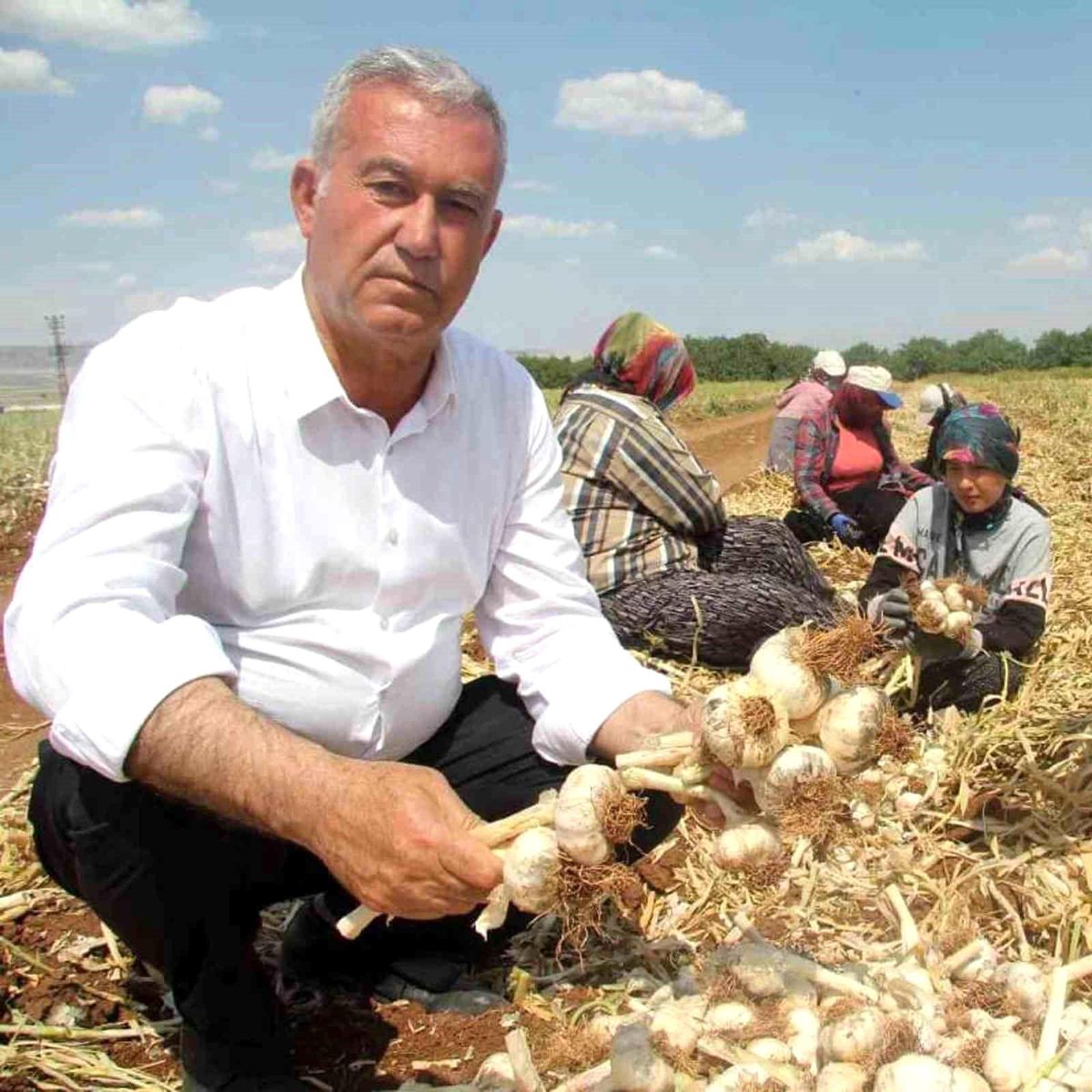Hasan Altun'dan 'Toprak Bayramı Haftası' kutlama mesajı