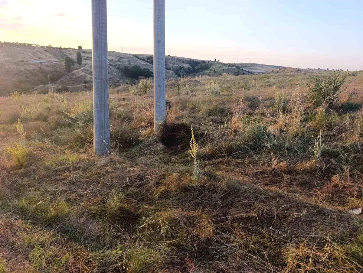 Bilecik'te elektrik akımına kapılan kuş yangına sebep oldu