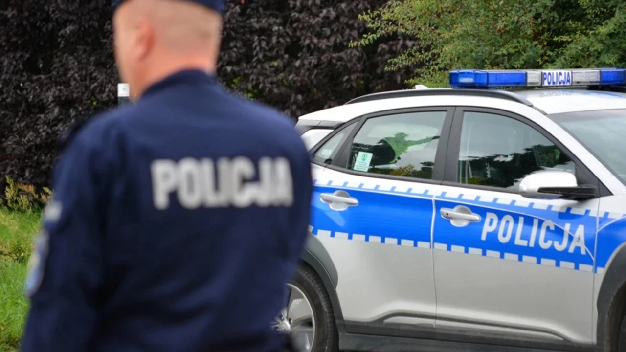 Polonya’da bir evin bahçesinden bebek kalıntıları çıktı: Eski Patoloğun korkunç sırrı