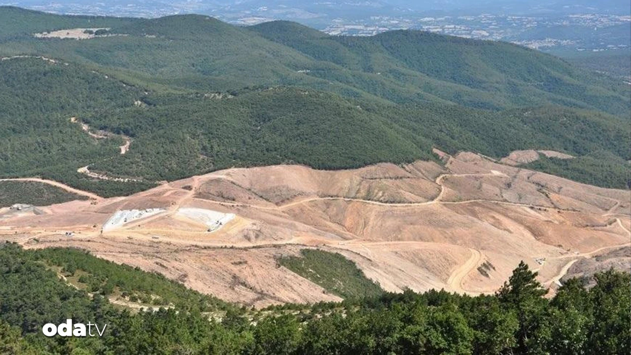 Çevre mücadelesi sonuç verdi... Kaz Dağları’ndaki maden projesi durduruldu