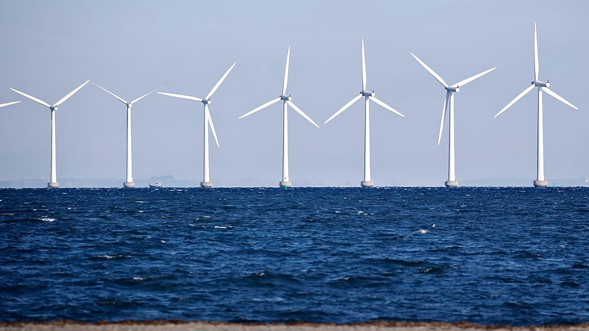 Polonya ve Almanya'dan Baltık Denizi'nde dev rüzgâr enerjisi hamlesi