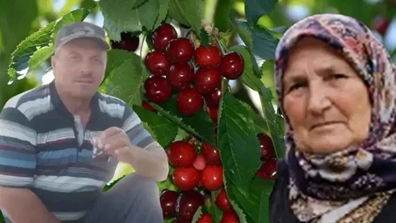 Kastamonu'da sır olay! Bahçeden yediği kiraz sonunu getirdi: Eşinin ardından yaşamını yitirdi