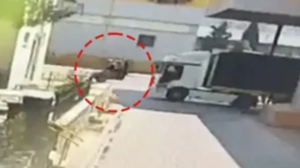 İzmir’de korkunç kaza can aldı! Tırın altında kalan forklift sürücüsü Gül Keskin öldü