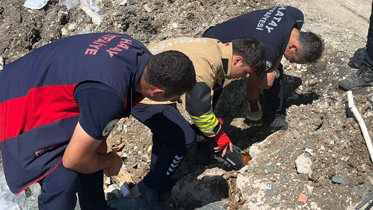 Anne kedi bir an yalnız bırakmadı: Yavruları kurtarılana kadar ekiplerin başından ayrılmadı