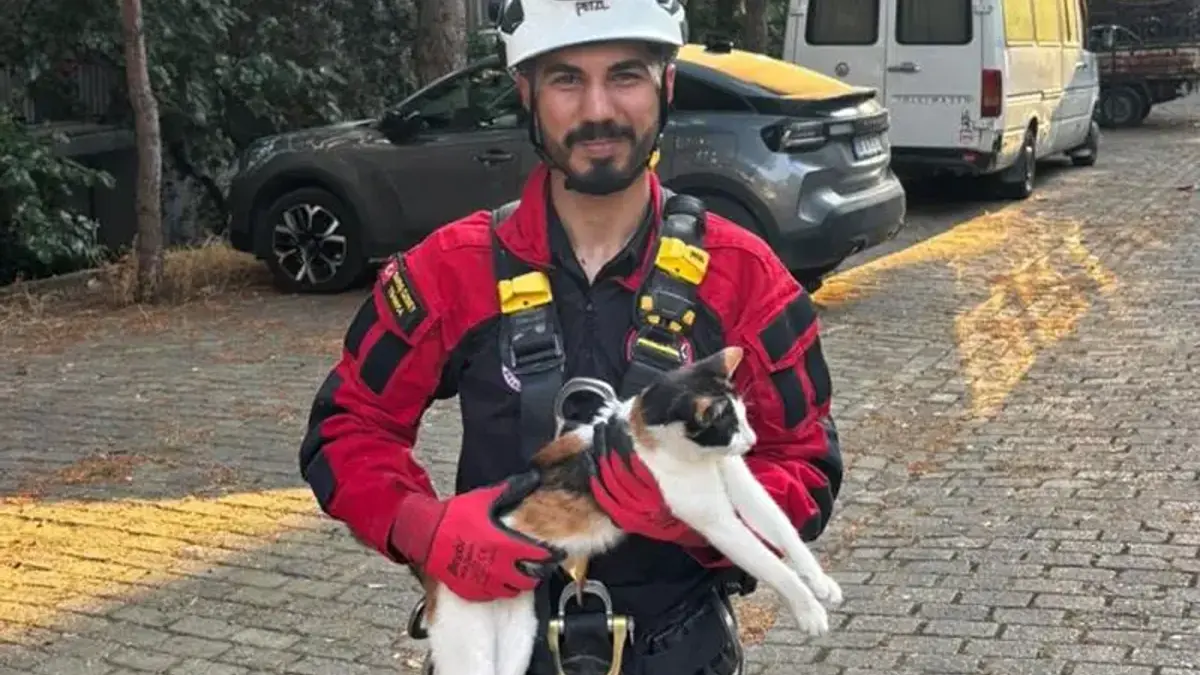 Üç gündür ağaçta mahsur kalan kedi kurtarıldı
