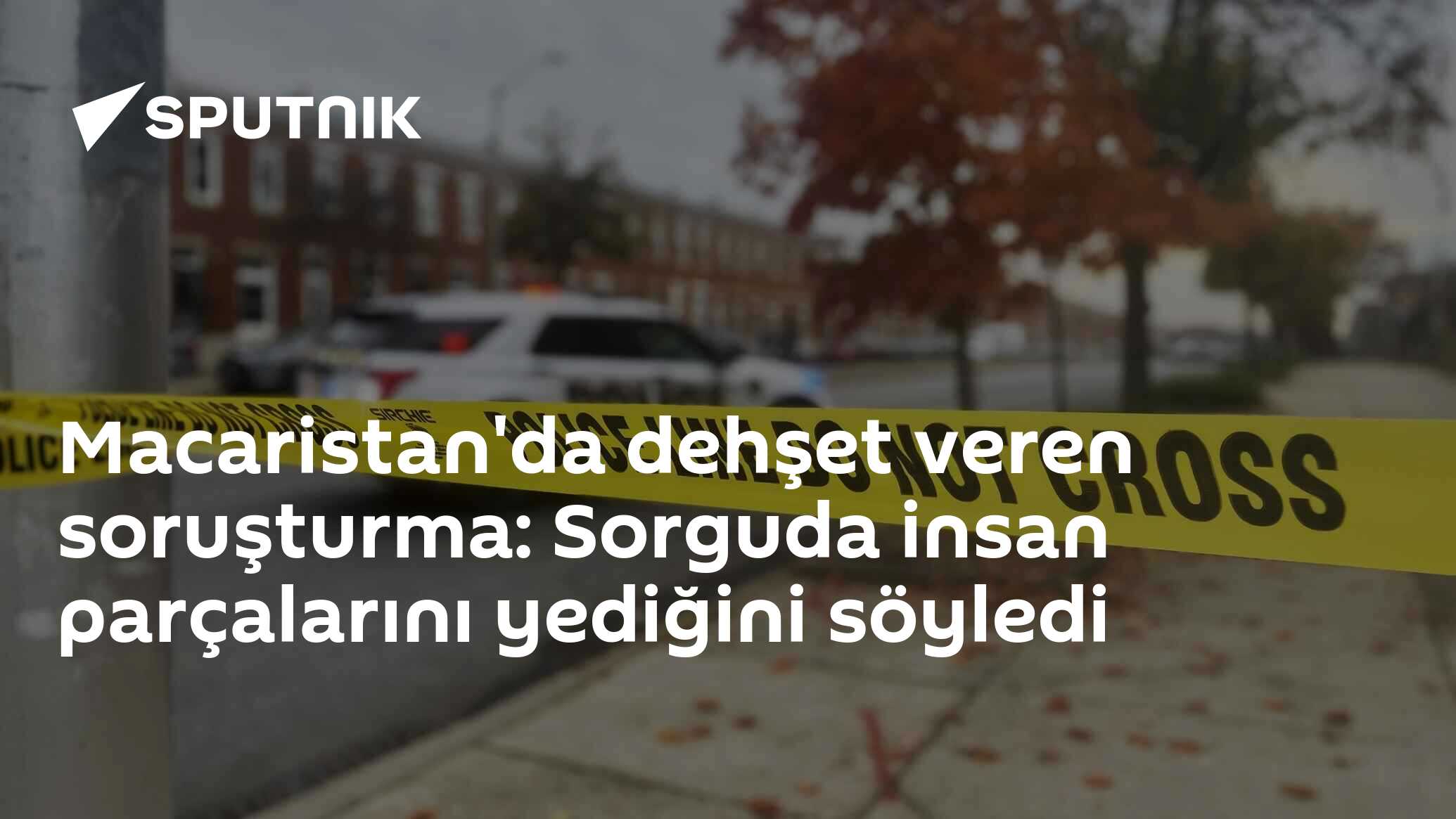 Macaristan'da dehşet veren soruşturma: Sorguda insan parçalarını yediğini söyledi