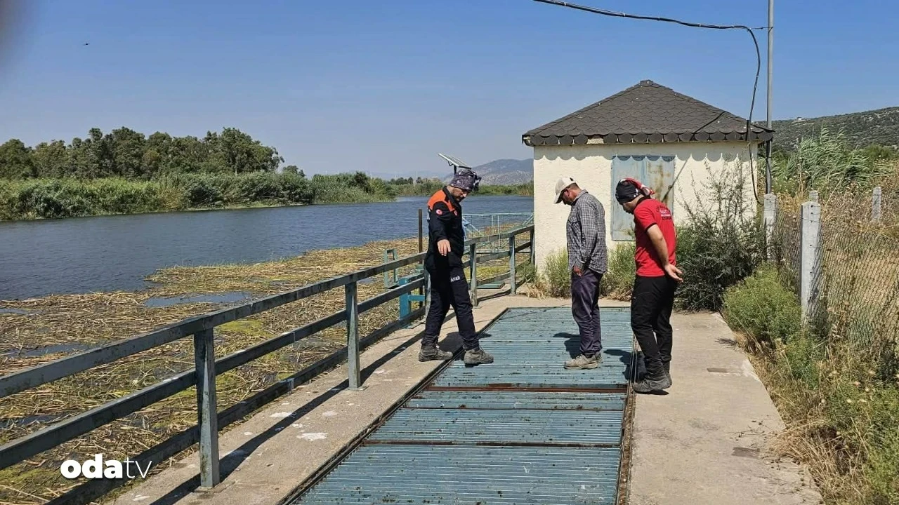 Menderes'te kaybolan Şahin için arama çalışmaları genişletildi