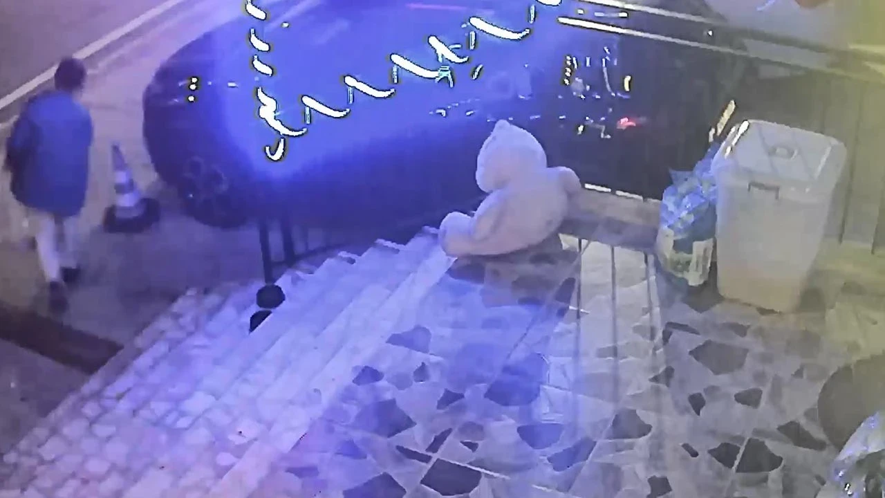 Vicdansızlık kamerada! Dükkan önündeki mama kutusunu çaldı