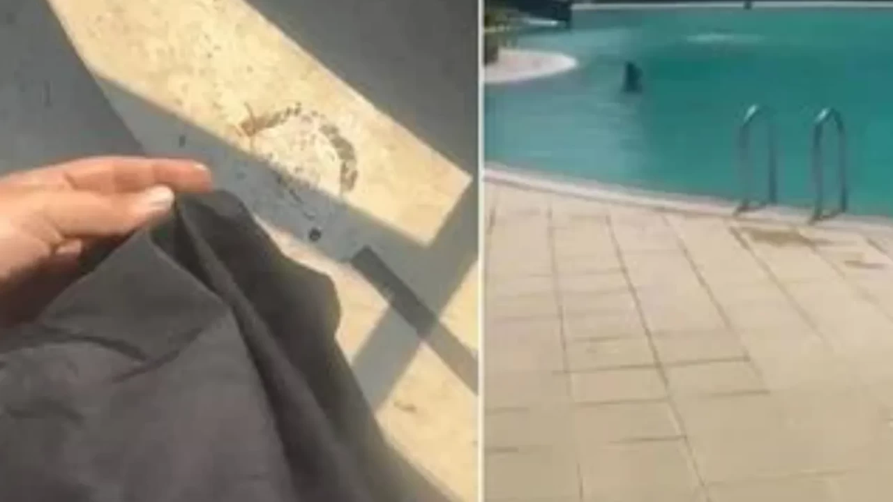 Mersin'de tesettürlü kadını havuza almayan görevli tutuklandı