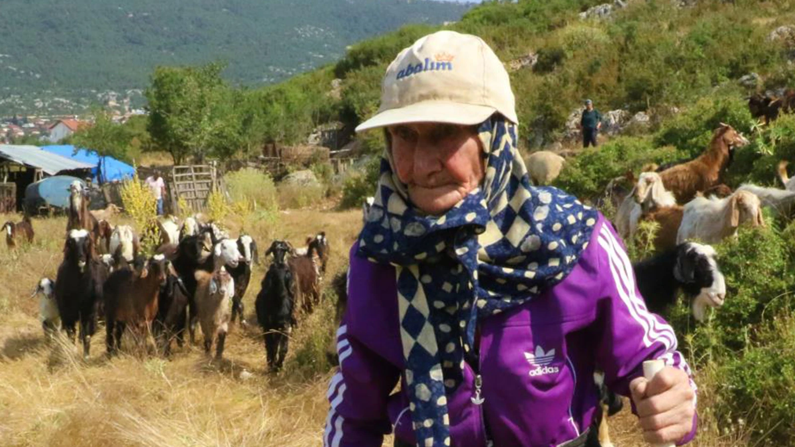 Antalya'nın süper çobanı: Emine Nine 94 yaşında dağlarda