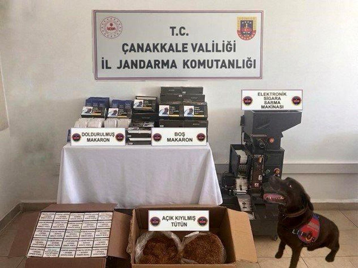 Lapseki'de kaçakçılık operasyonu