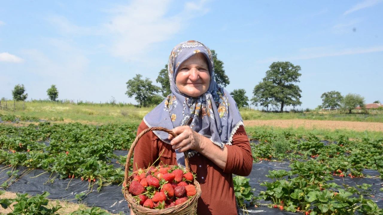 Hobi olarak başladı, 42 dönüme ulaştı