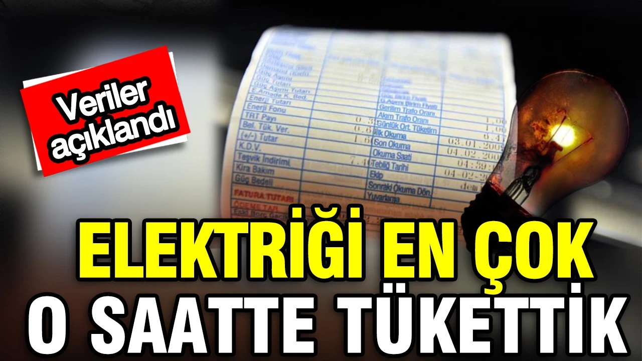 Türkiye'nin günlük enerji karnesi: En çok elektriği saat 15.00'te tükettik
