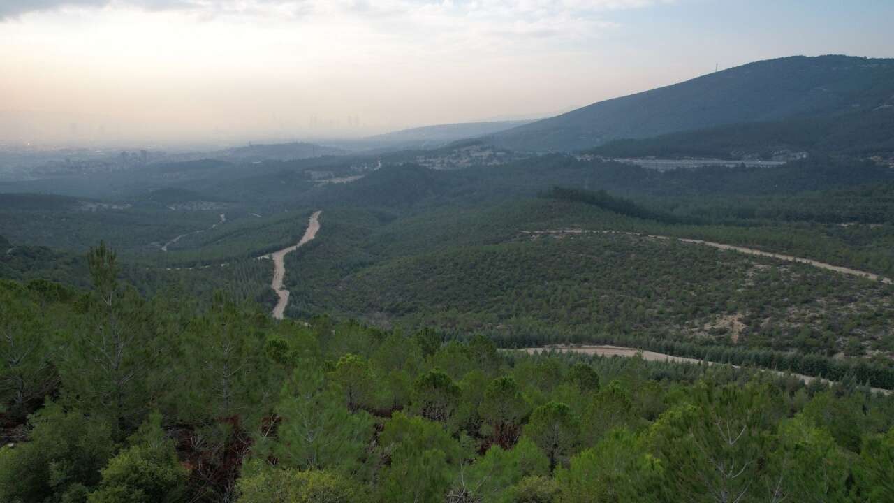 Bir ilde daha ormanlık alana giriş yasaklandı
