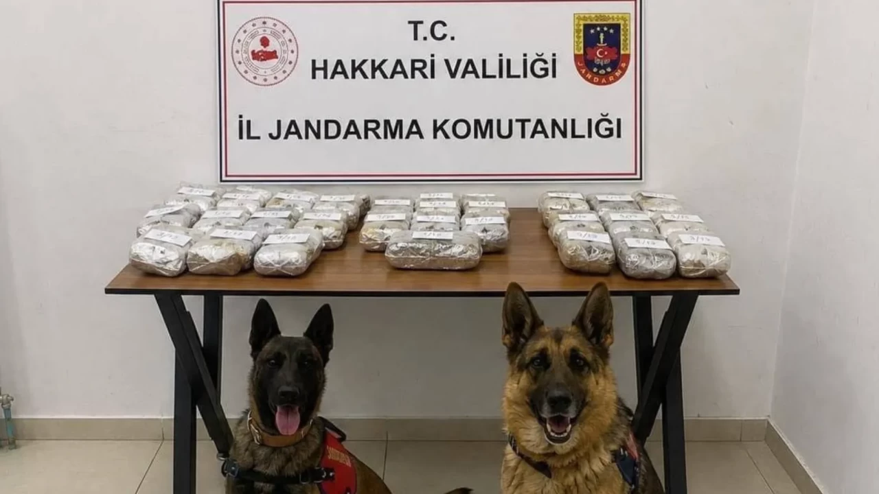 Şemdinli’de narkotik operasyonu: 21 kilodan fazla esrar ele geçirildi