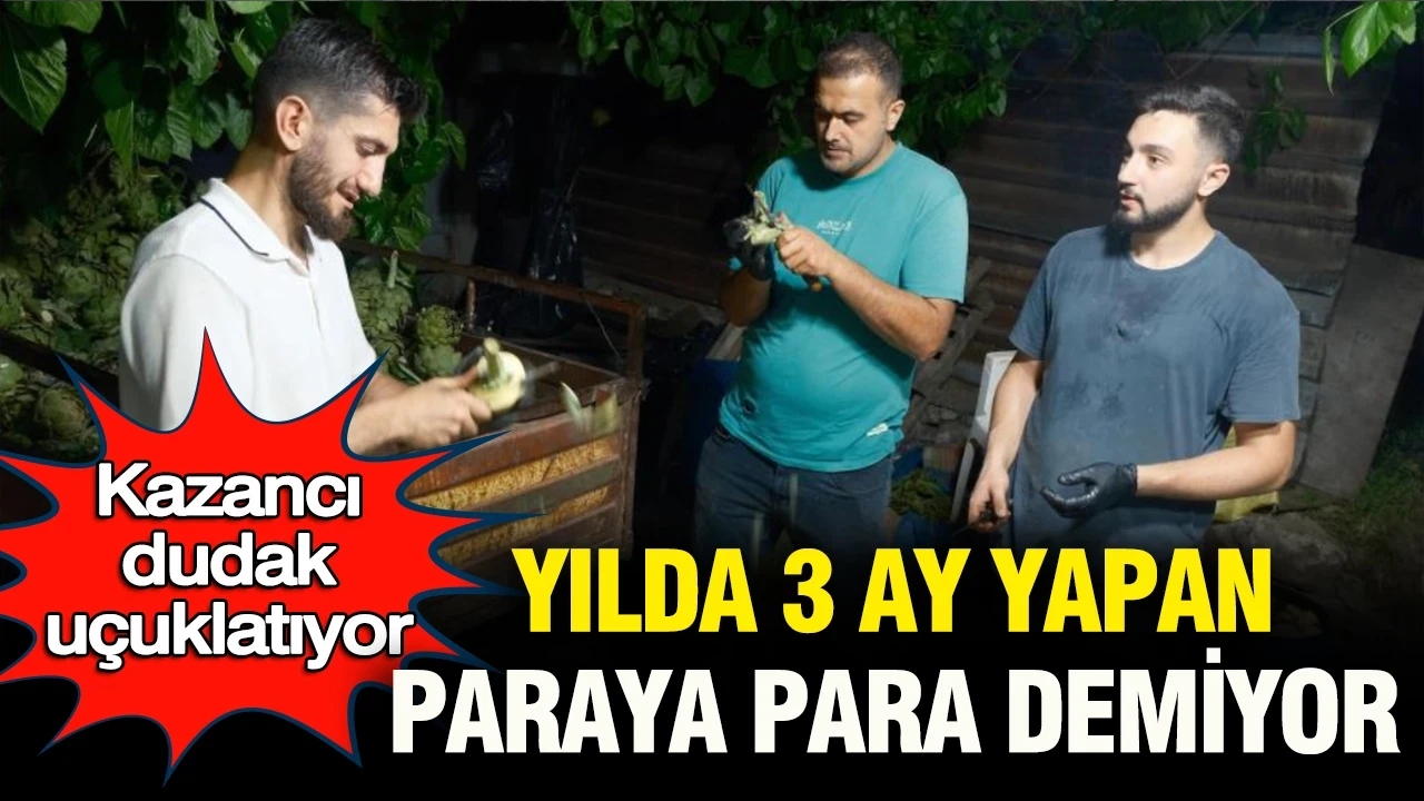 Görenler şaşırıyor, kazancı dudak uçuklatıyor: Yılda 3 ay yapan paraya para demiyor
