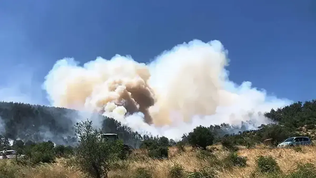 Balıkesir'deki yangın büyüyerek ormanlık alana sıçradı