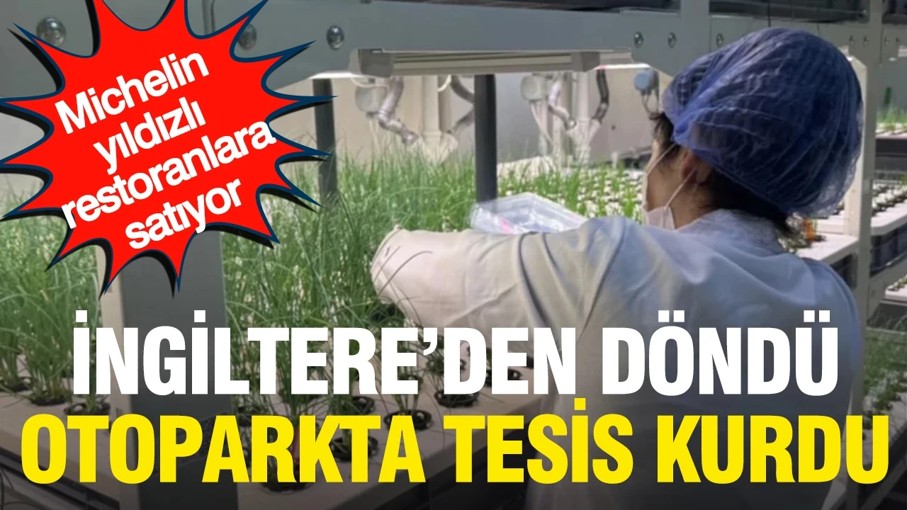 İngiltere'den döndü, otoparkta tesis kurdu: Şimdi michelin yıldızlı restoranlara satıyor