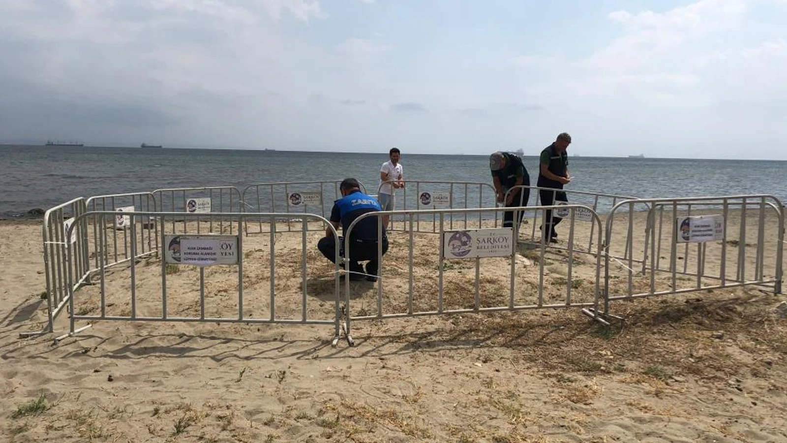 Tekirdağ'da görüldü, koruma altına alındı! Koparmanın cezası 699 bin lira