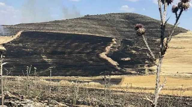 Diyarbakır'da ekili arazide çıkan yangın yüzlerce dönümü küle çevirdi