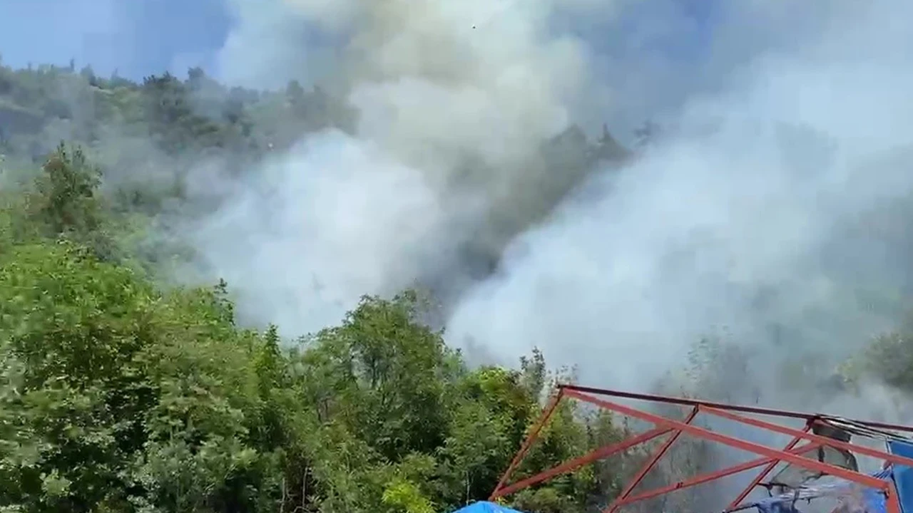 Bursa'da ormanlık alanda yangın