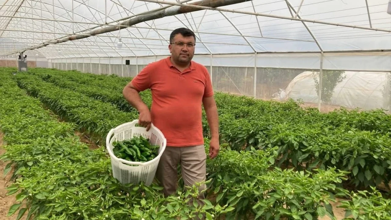 Kilosu 350 lirayı buldu ama yine yok satıyor