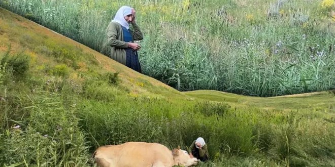 200 metrelik uçurumda yürek yakan gözyaşı